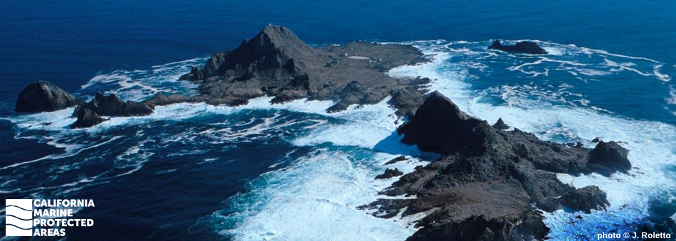 Aerial view of Southeast Farallon Islands